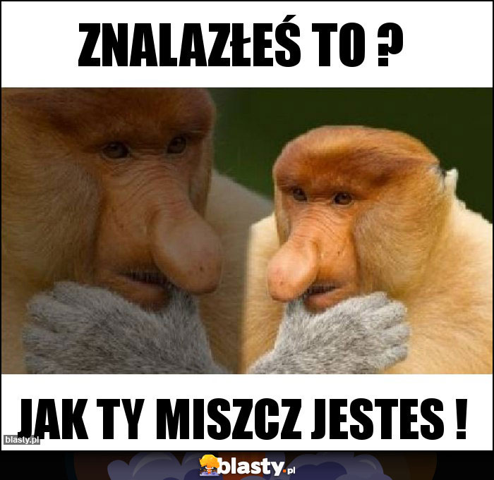 Znalazłeś to ?