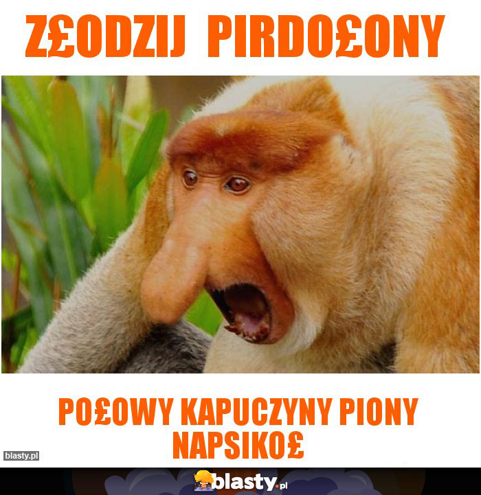 Z£odzij  pirdo£ony