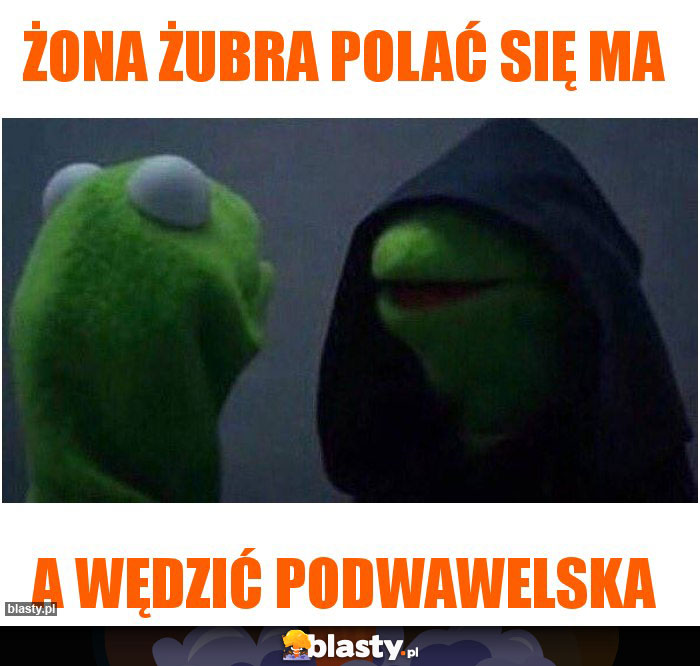 Żona żubra polać się ma