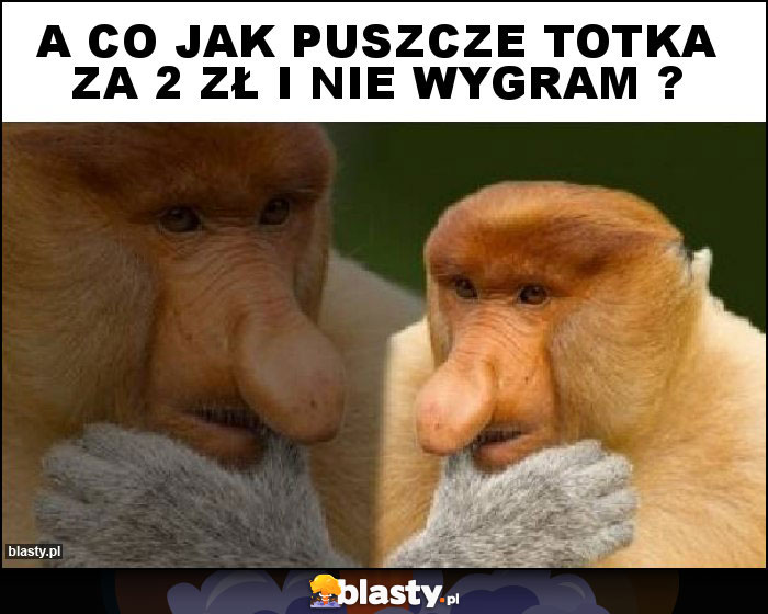 a co jak puszcze totka za 2 zł i nie wygram ?