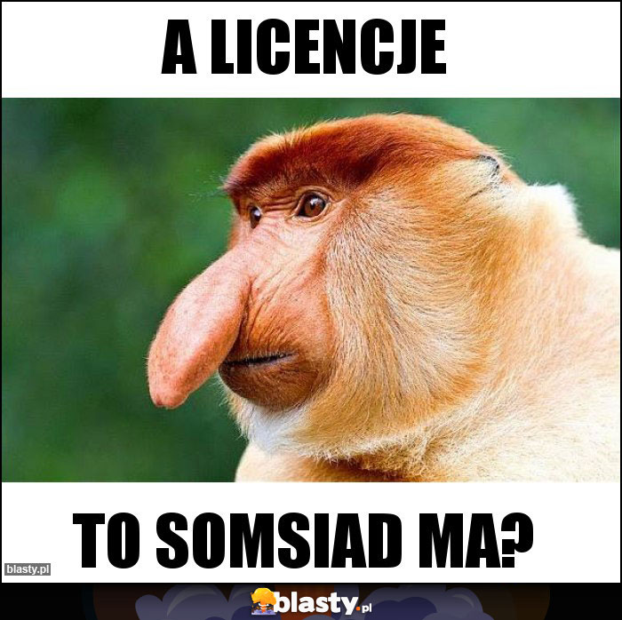 A LICENCJE