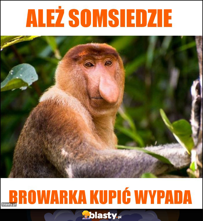 Ależ somsiedzie