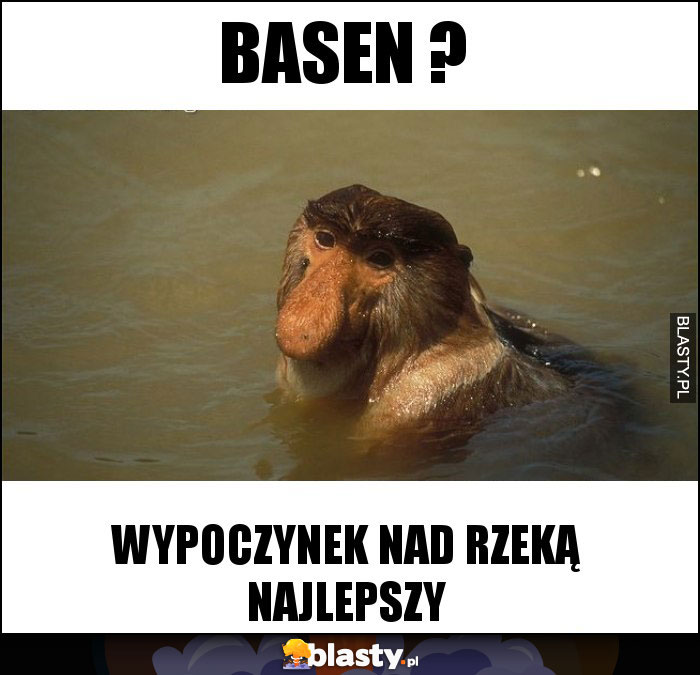 Basen ?