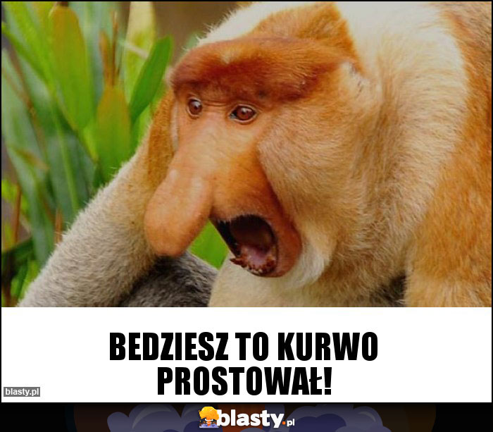 Bedziesz to kurwo prostował!