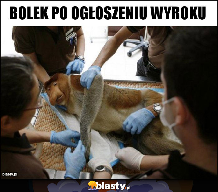 Bolek po ogłoszeniu wyroku