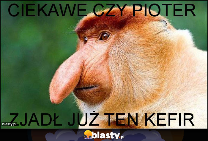 Ciekawe czy Pioter