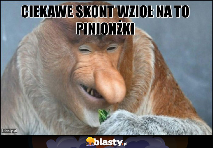 Ciekawe skont wzioł na to pinionżki