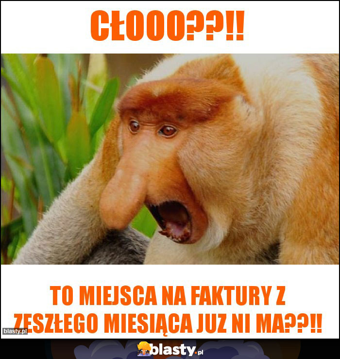 Cłooo??!!