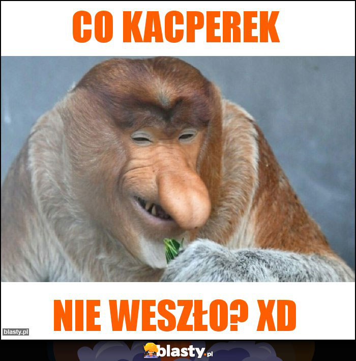 Co Kacperek