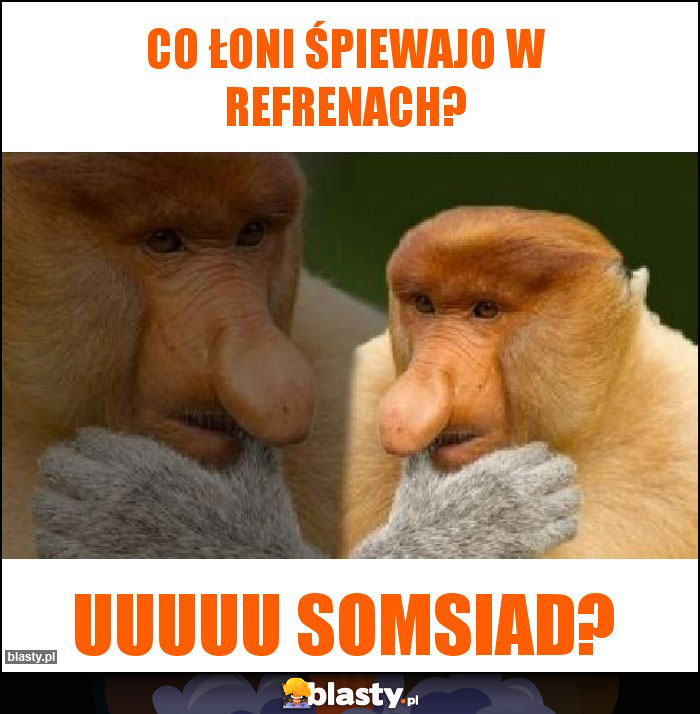 Co łoni śpiewajo w refrenach?