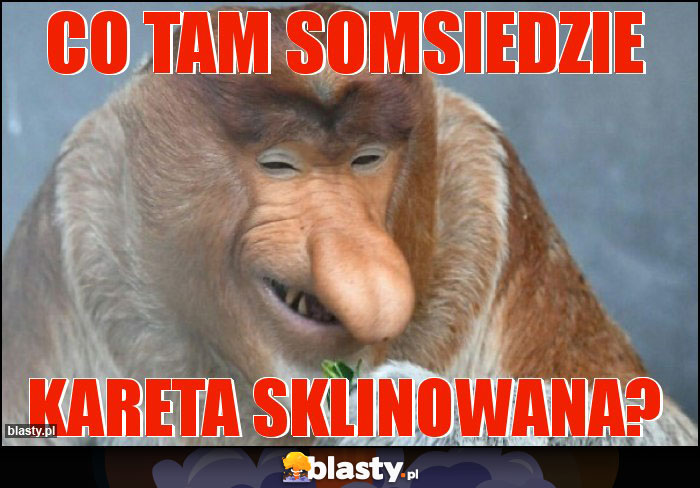 CO TAM SOMSIEDZIE