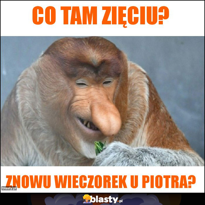 Co tam Zięciu?