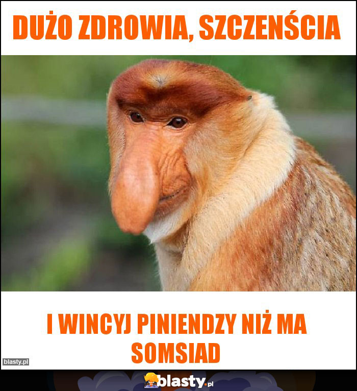 DUŻO ZDROWIA, SZCZENŚCIA