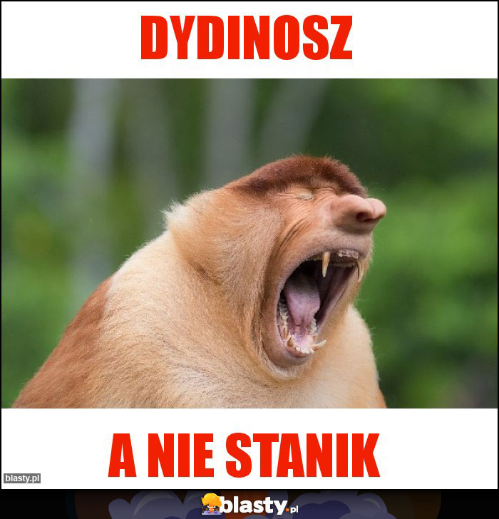 Dydinosz