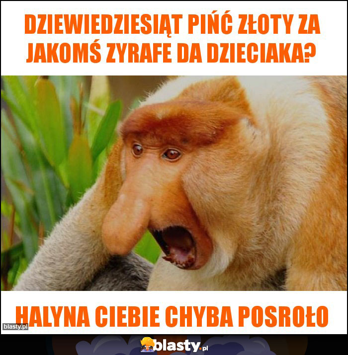 Dziewiedziesiąt pińć złoty za jakomś zyrafe da dzieciaka?