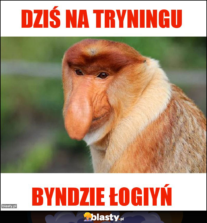 Dziś na tryningu