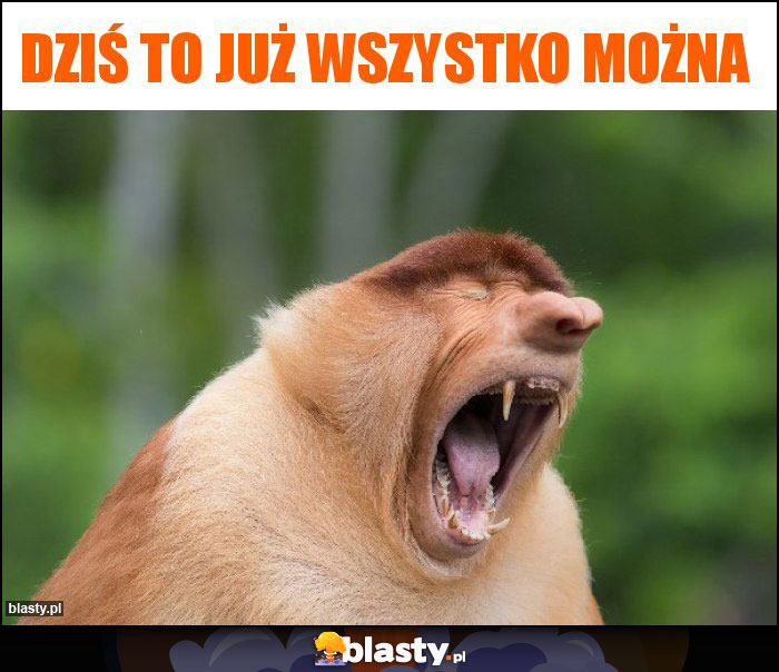 Dziś to już wszystko można