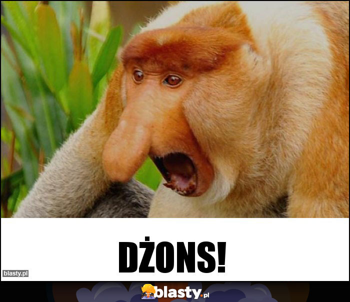 DŻONS!