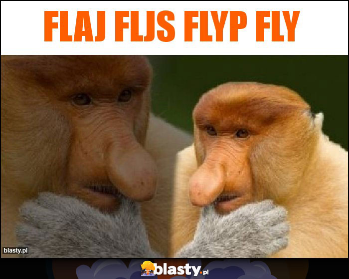 Flaj fljs flyp Fly