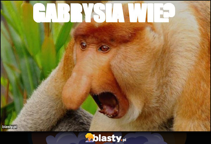 Gabrysia wie?