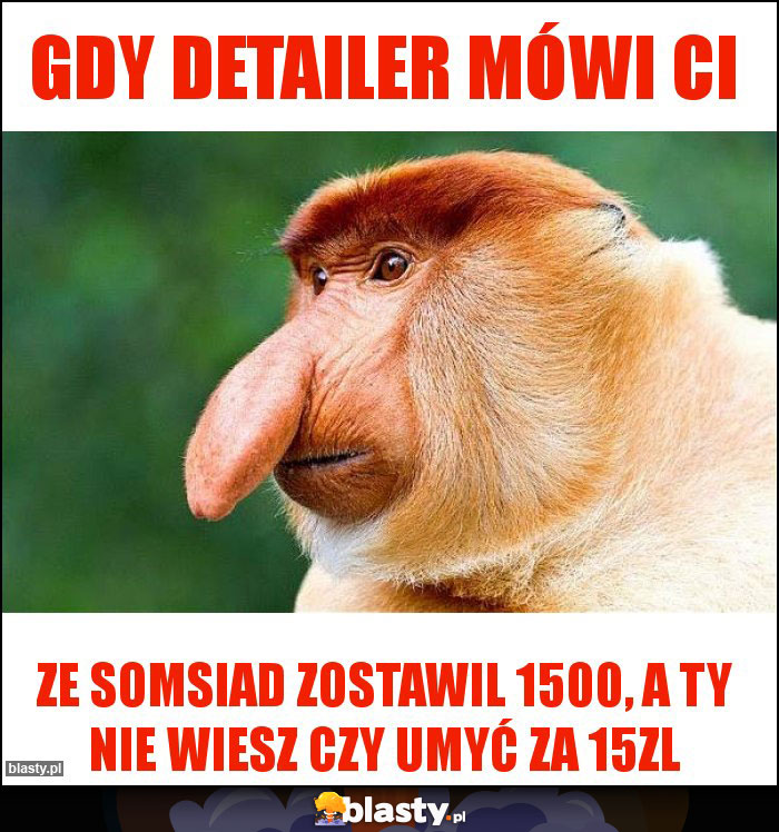 Gdy detailer mówi Ci