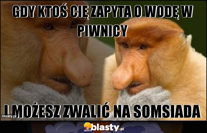 Gdy ktoś cię zapyta o wodę w piwnicy