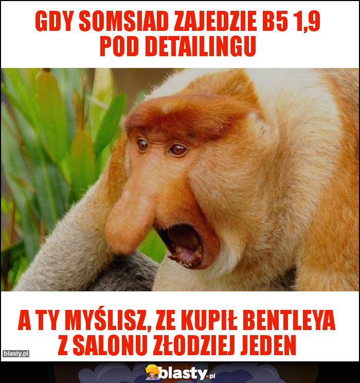 Gdy somsiad zajedzie B5 1,9 pod detailingu