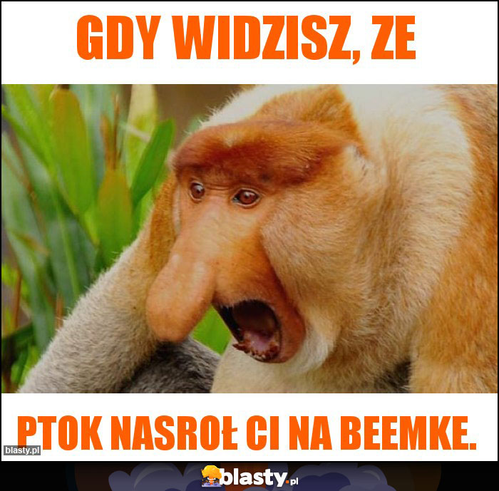 Gdy widzisz, ze