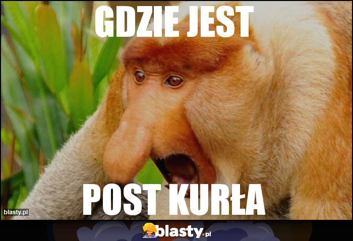 GDZIE JEST