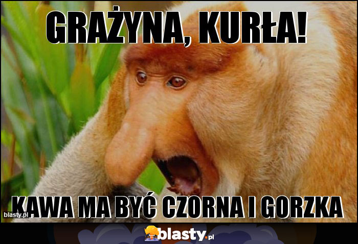 Grażyna, kurła!