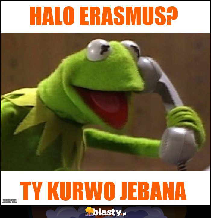 Halo Erasmus?