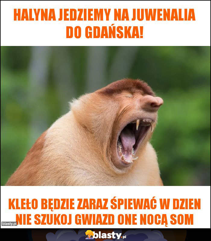 Halyna jedziemy na Juwenalia do Gdańska!