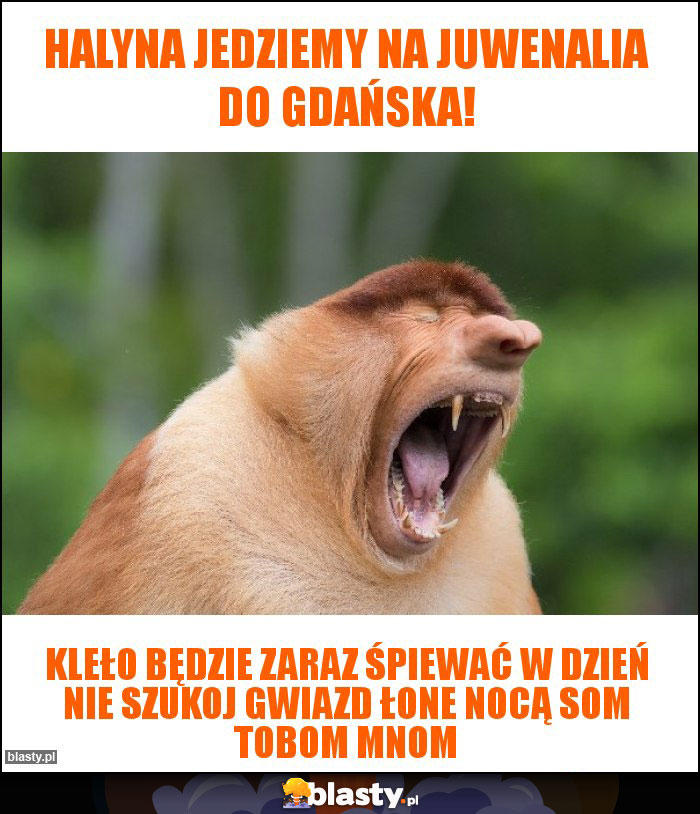 Halyna jedziemy na Juwenalia do Gdańska!