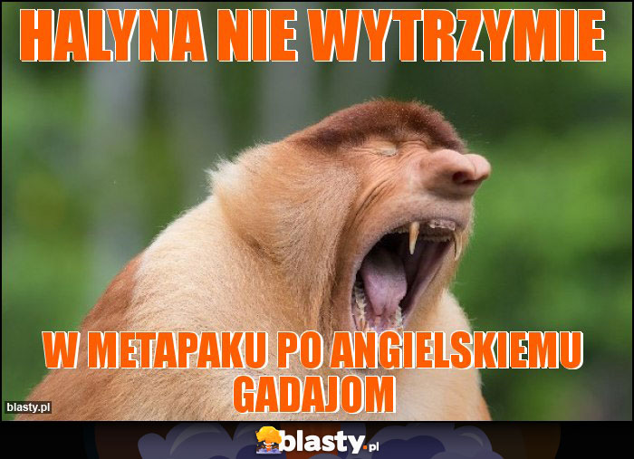 Halyna nie wytrzymie