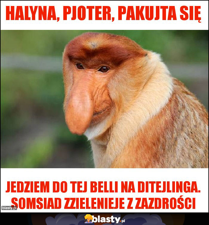 Halyna, Pjoter, pakujta się