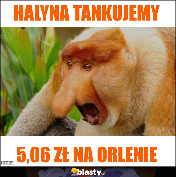 Halyna tankujemy