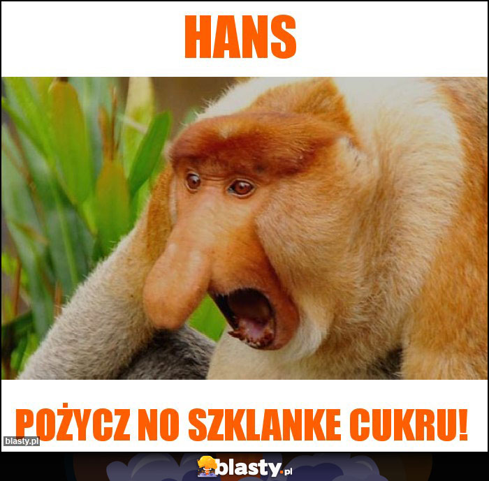 HANS