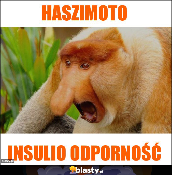 HASZIMOTO