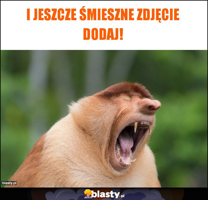 I jeszcze śmieszne zdjęcie dodaj!