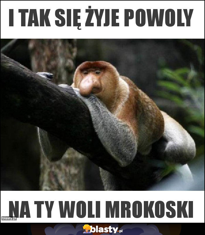 I TAK SIĘ ŻYJE POWOLY