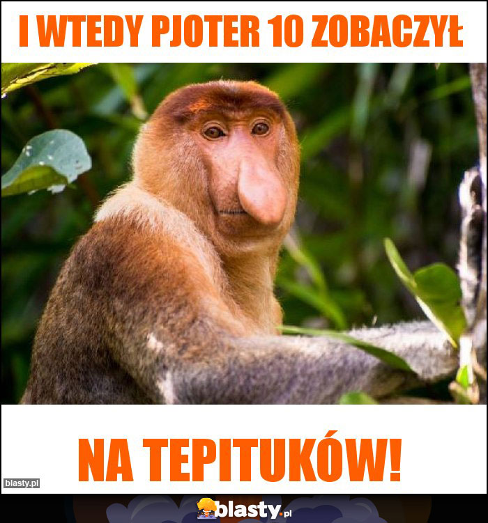 I wtedy pjoter 10 zobaczył