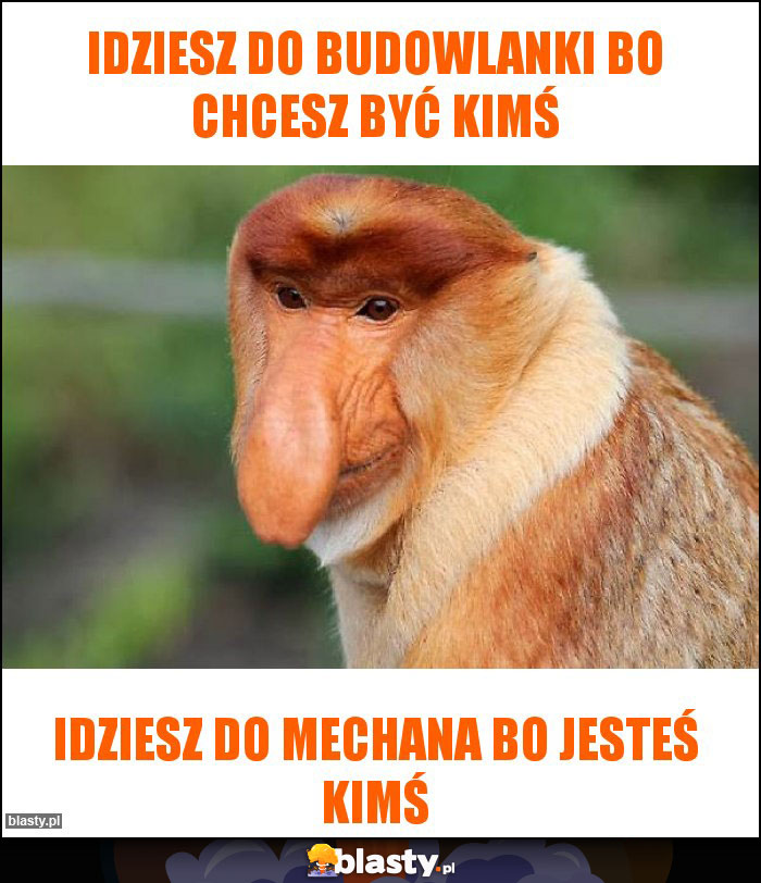 Idziesz do budowlanki bo chcesz być kimś