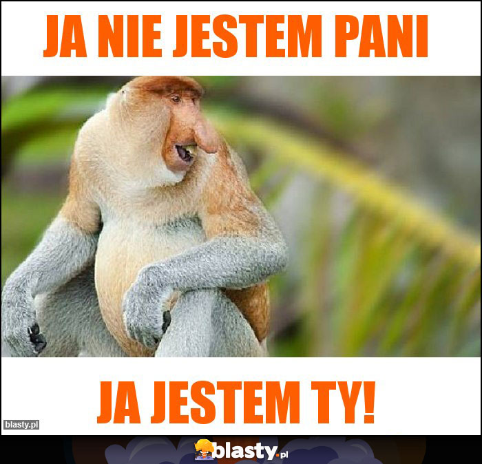 Ja nie jestem pani