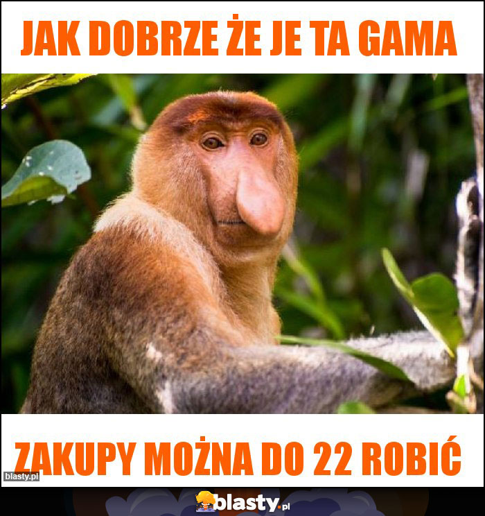 Jak dobrze że je ta gama