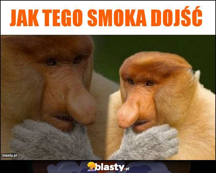 Jak tego smoka dojść