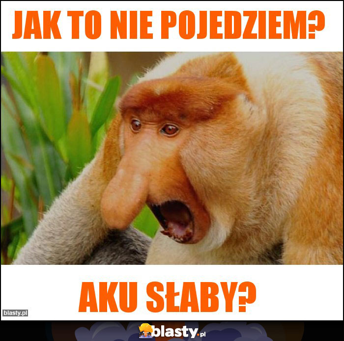 Jak to nie pojedziem?