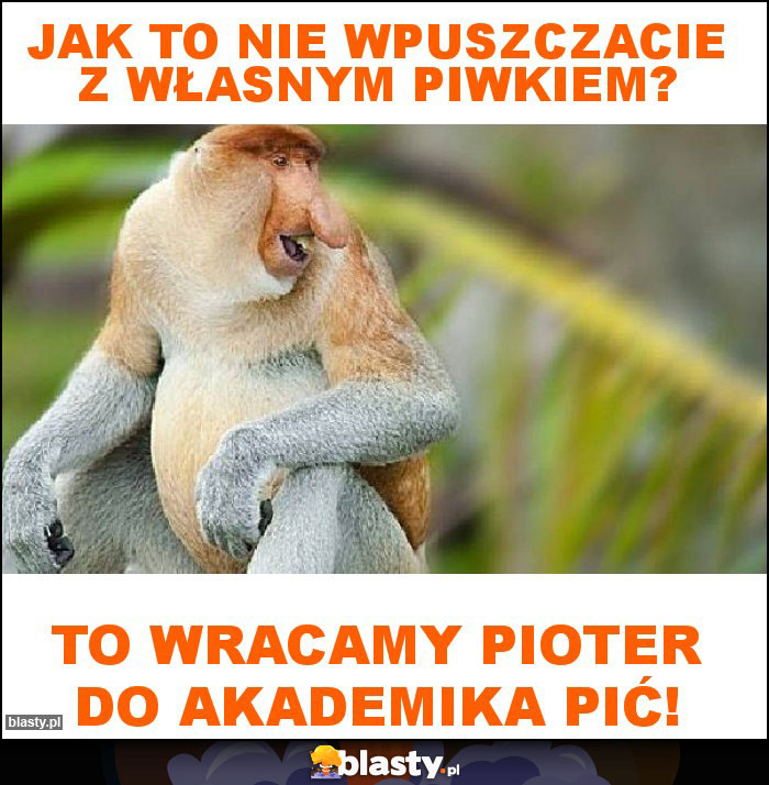 Jak to nie wpuszczacie z własnym piwkiem?