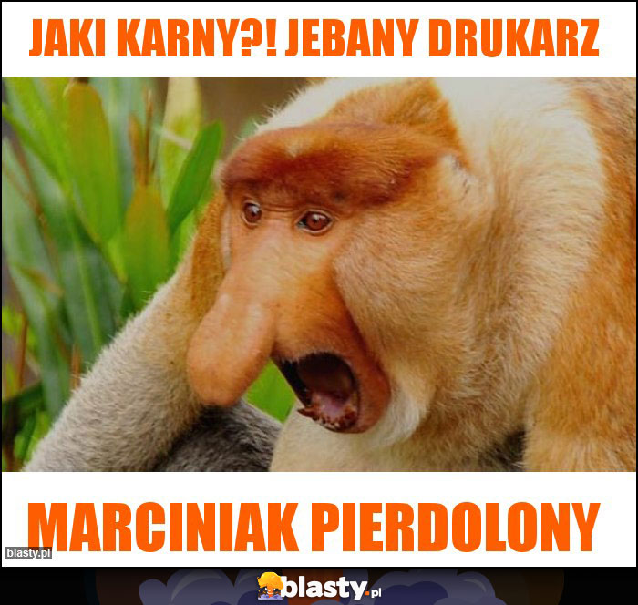 Jaki karny?! Jebany drukarz