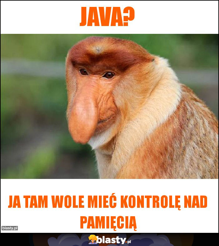 JAVA?