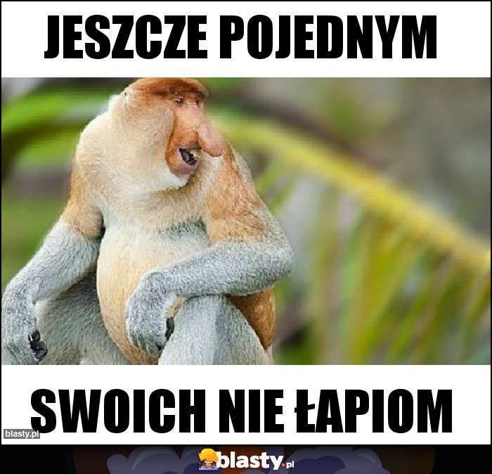 Jeszcze pojednym